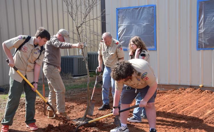 Lavonia Boy Scout Troop 51 members Noah Roberson, Nathan Estrada, Kelsey Bennett and leader Greg Weaver help arborist John Sherouse plant a red Japanese maple at the Northeast Georgia Animal Shelter. The tree was planted in honor of the late Margaret Ayers. (Photos by Scoggins)
